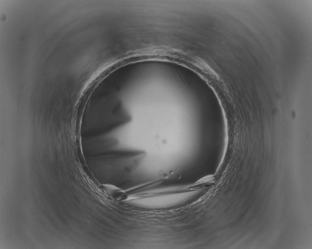 X0000082711216200702091739