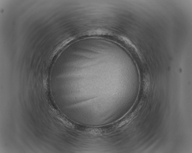 X0000082711217200702091739