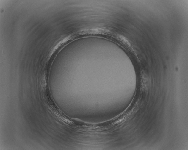 X0000082711218200702091739