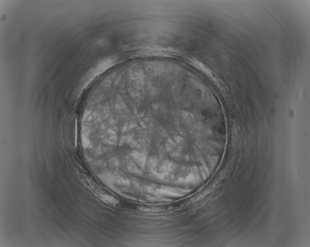 X0000082711219200702091739