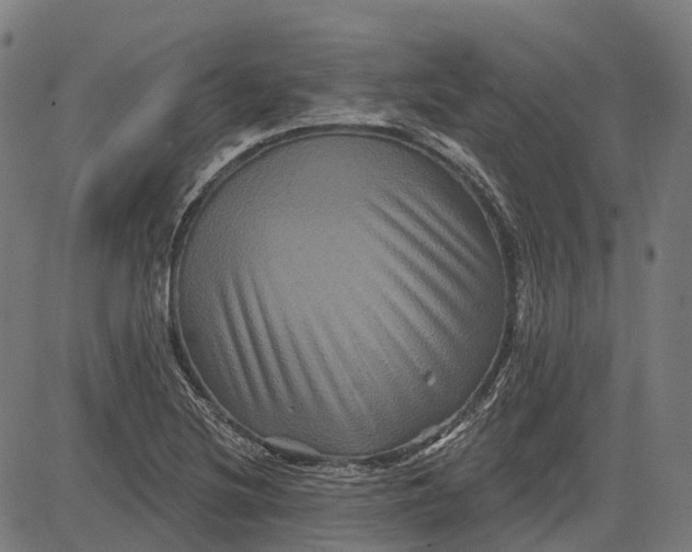 X0000082711220200702091739