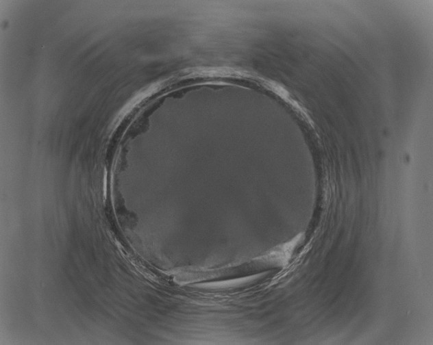 X0000082711221200702091739