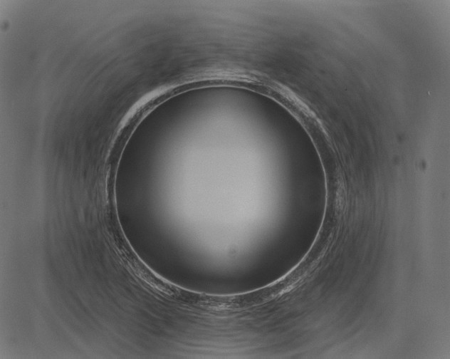 X0000082711222200702091739