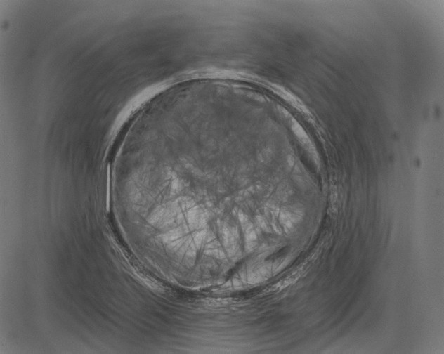 X0000082711223200702091739