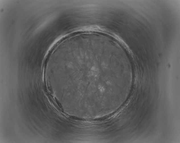 X0000082711224200702091739