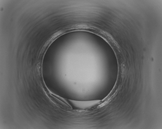 X0000082711225200702091739