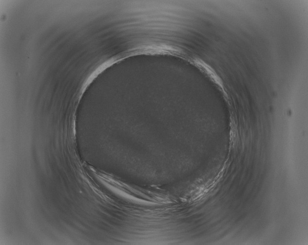 X0000082711226200702091739