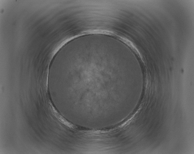 X0000082711228200702091739