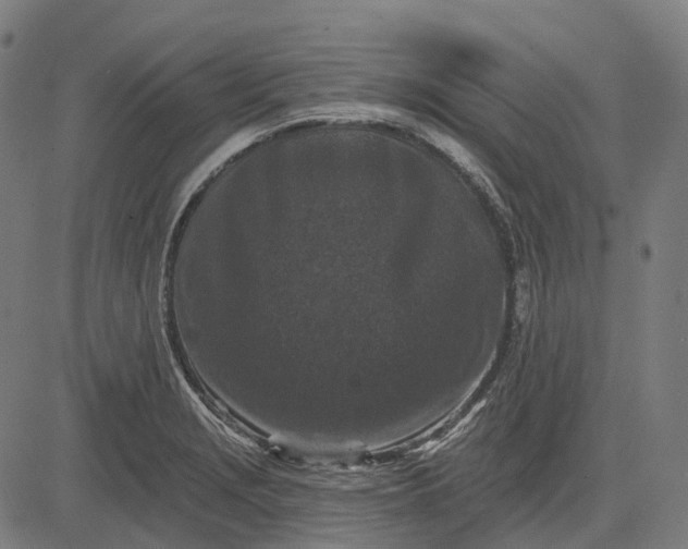 X0000082711229200702091739