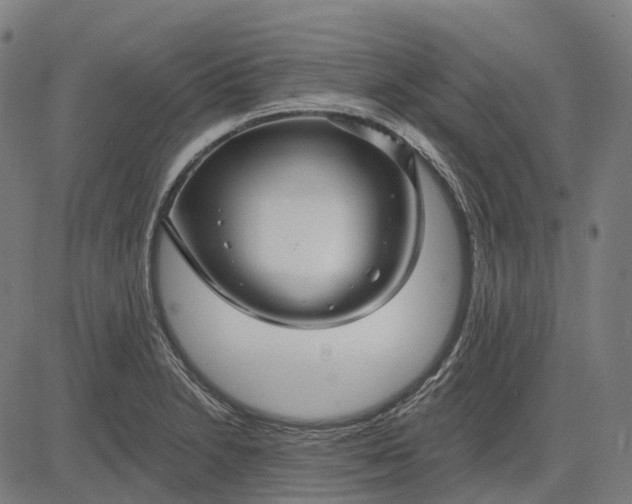 X0000082711230200702091739