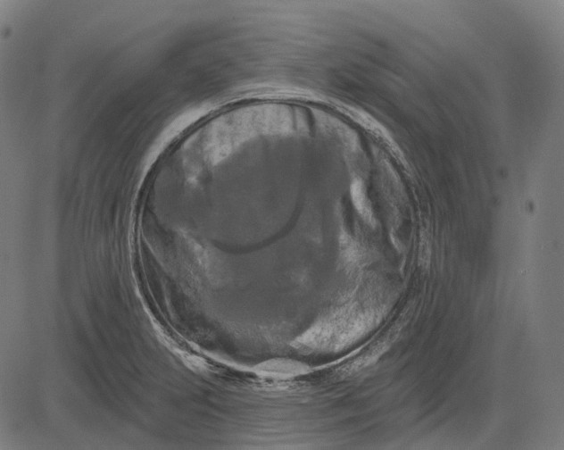 X0000082711231200702091739