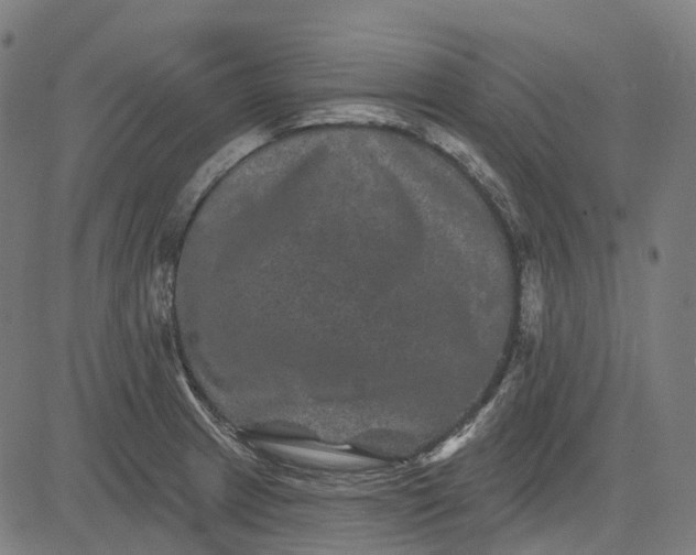 X0000082711233200702091739