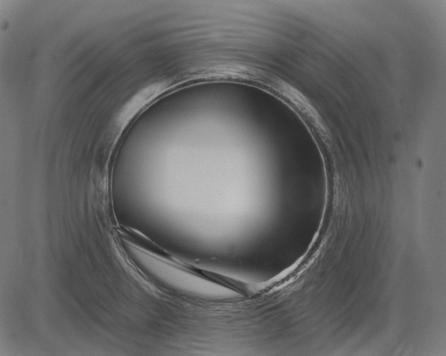 X0000082711234200702091739