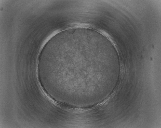 X0000082711235200702091739