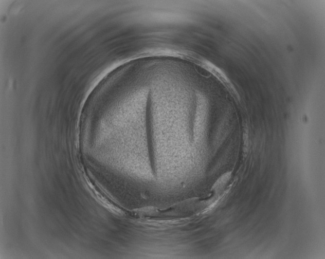 X0000082711236200702091739