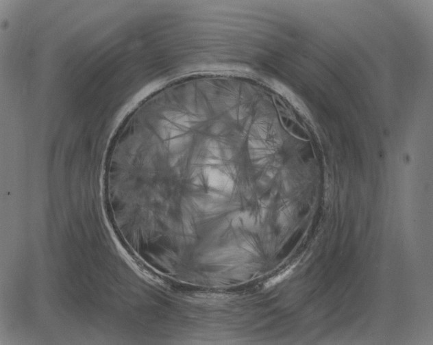 X0000082711237200702091739