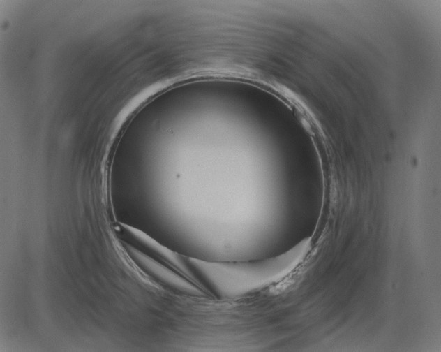 X0000082711238200702091739