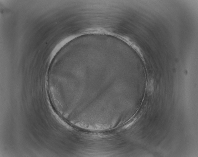 X0000082711239200702091739