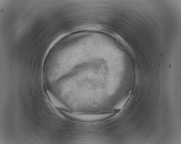 X0000082711240200702091739