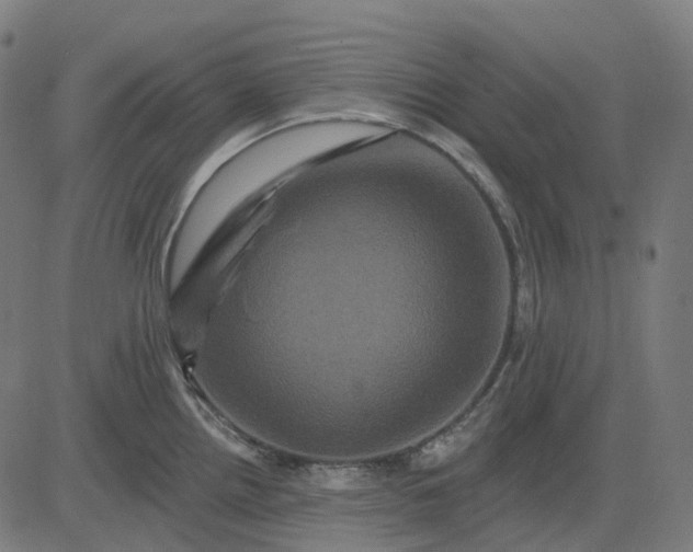 X0000082711242200702091739