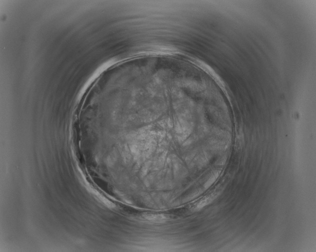 X0000082711243200702091739