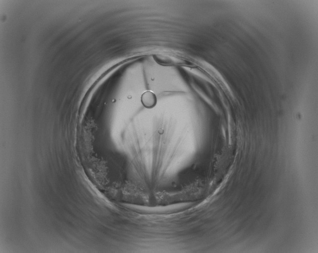 X0000082711244200702091739