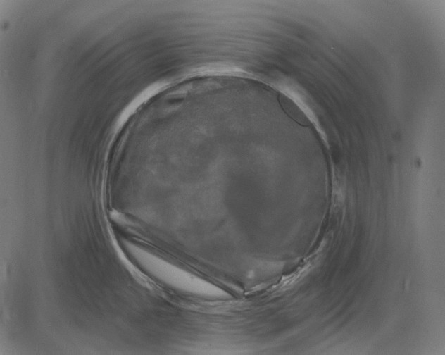 X0000082711245200702091739