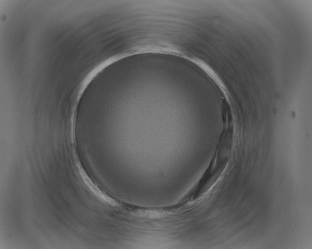 X0000082711246200702091739