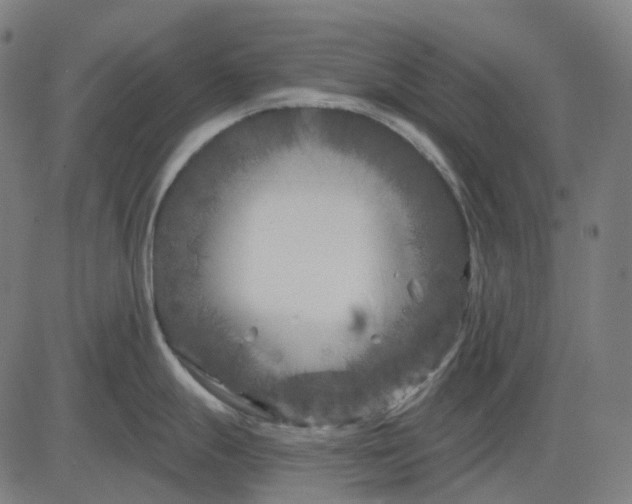 X0000082711247200702091739