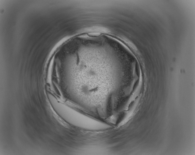 X0000082711248200702091739