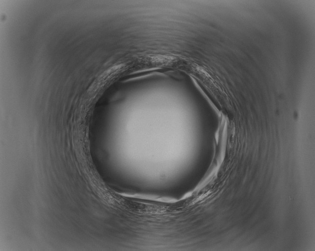 X0000082711249200702091739