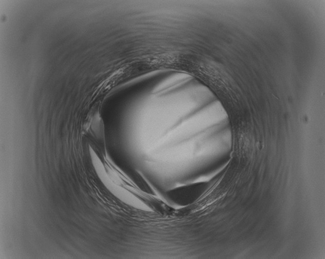 X0000082711250200702091739