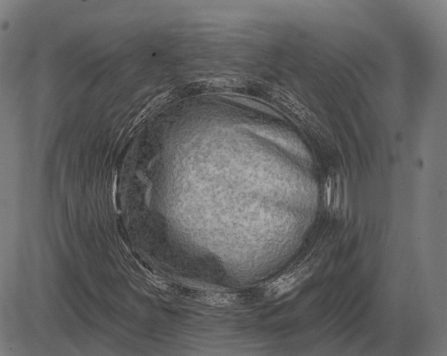 X0000082711251200702091739