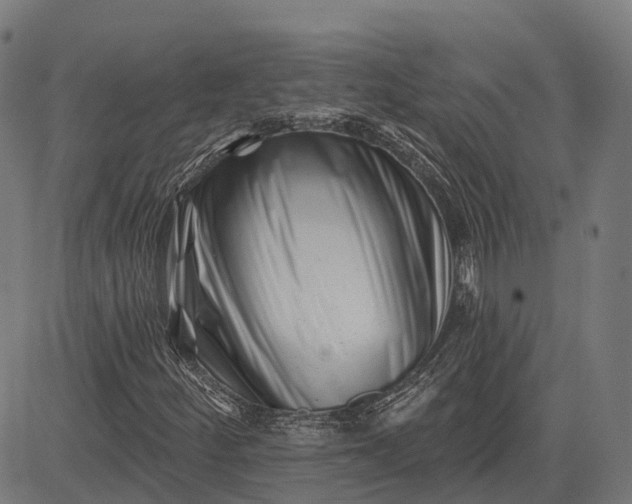 X0000082711252200702091739