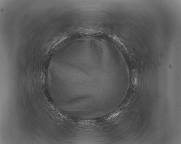 X0000082711253200702091739