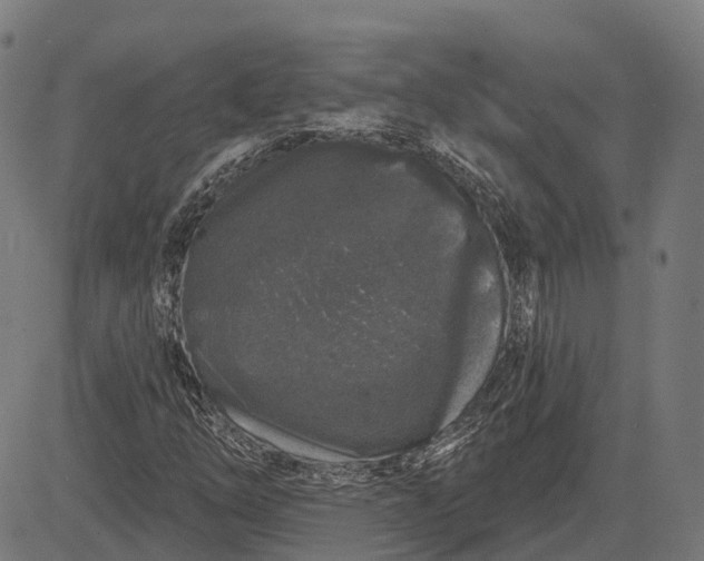 X0000082711254200702091739