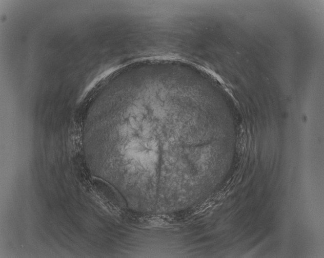 X0000082711255200702091739