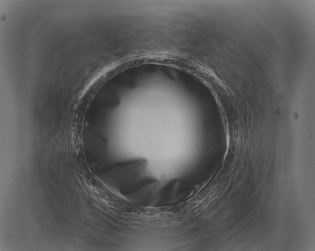 X0000082711256200702091739