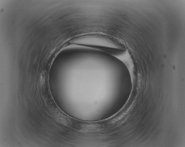 X0000082711257200702091739