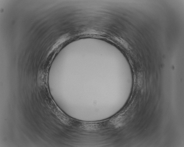 X0000082711258200702091739