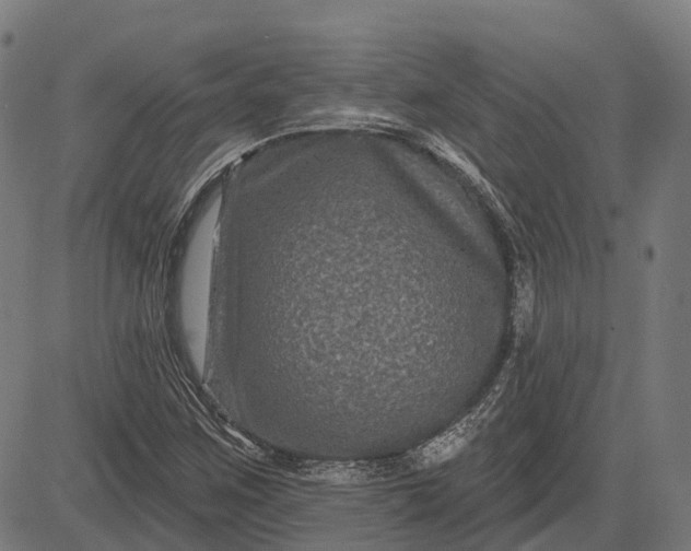 X0000082711259200702091739