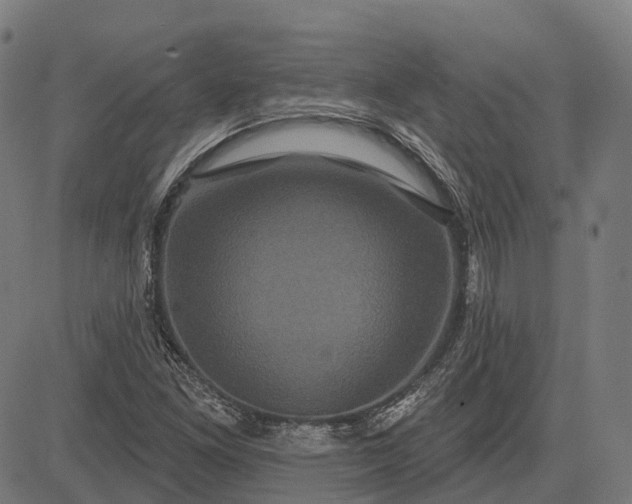 X0000082711261200702091739