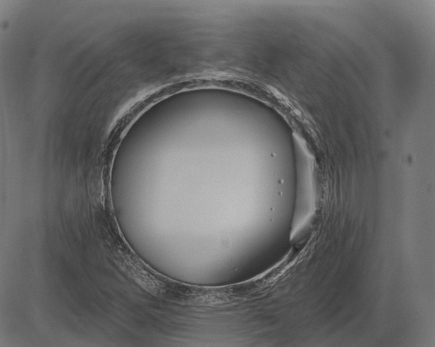 X0000082711262200702091739