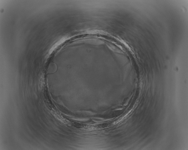 X0000082711263200702091738