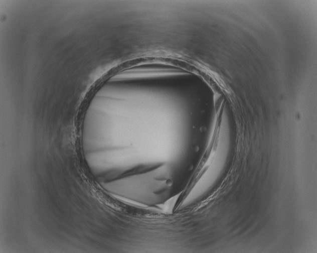 X0000082711264200702091738