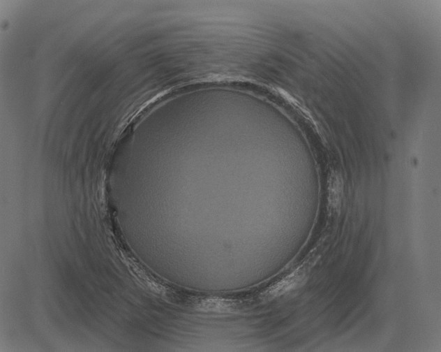 X0000082711265200702091738