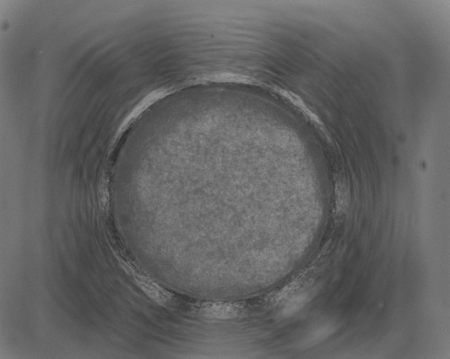 X0000082711266200702091738