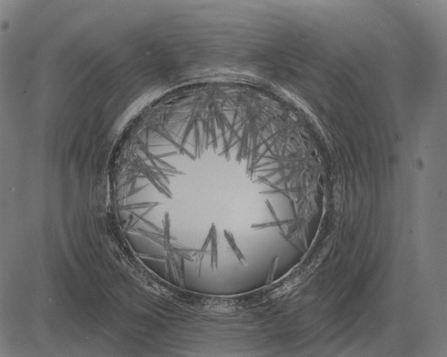 X0000082711267200702091738