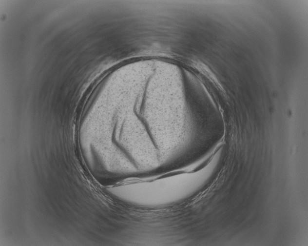 X0000082711268200702091738