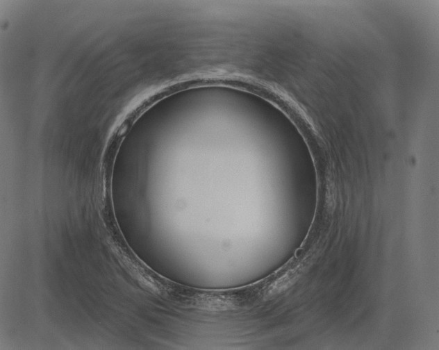 X0000082711270200702091738